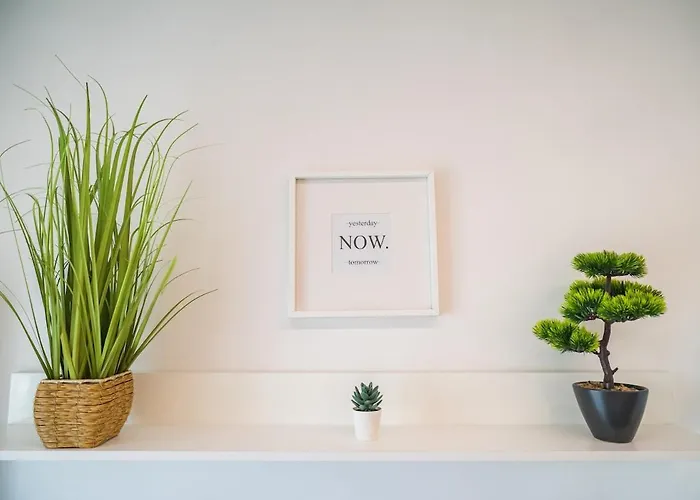 아파트 Modern In The Center Ideal For Weekends *